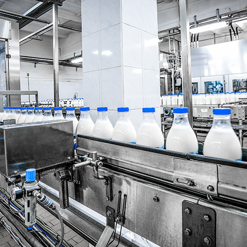 Milk Processing Plant Manufacturer, India - Goma Engineering